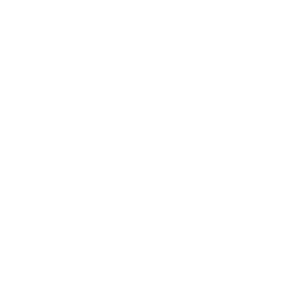 logo-vassallerno-white.png